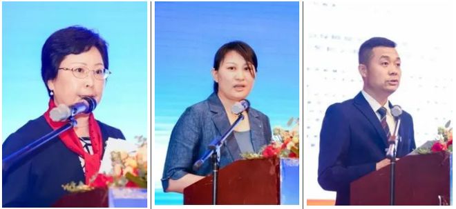 为推进中国式现代化贡献棉纺织产业力量！2023中国棉纺织大会成功召开(图3)